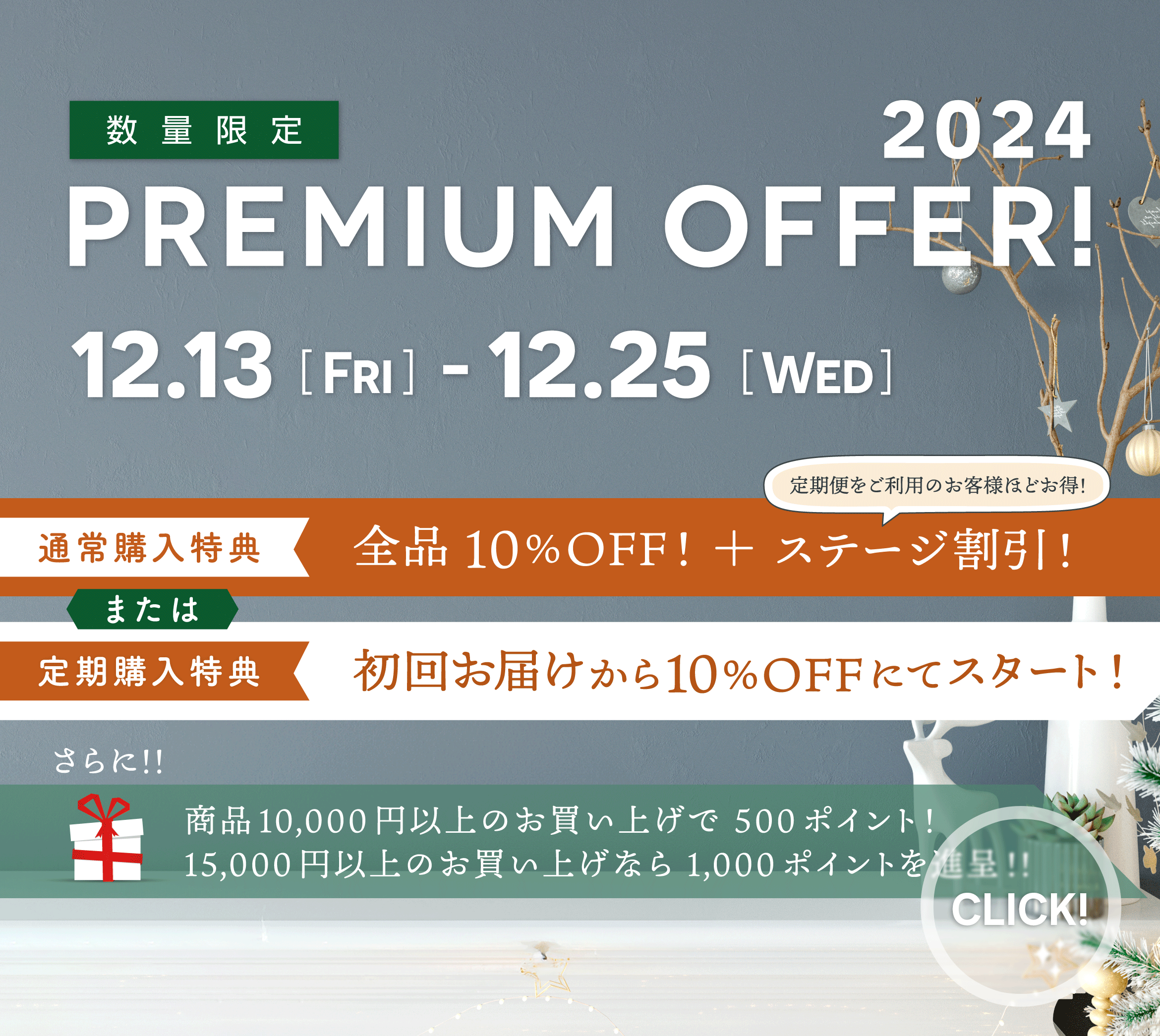 クリスマスキャンペーン2024